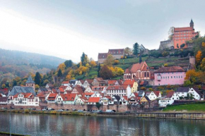 Neckarblick,Natur, Altstadt